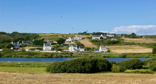 paysage bucolique