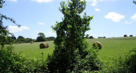 Kerpont entourée d'un prairie à saint-gildas