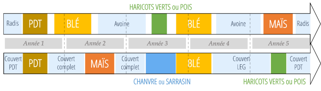 Rotation sur 5 ans pour un système initial et un système économe