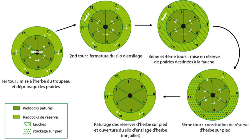 Schéma de principe du pâturage tournant